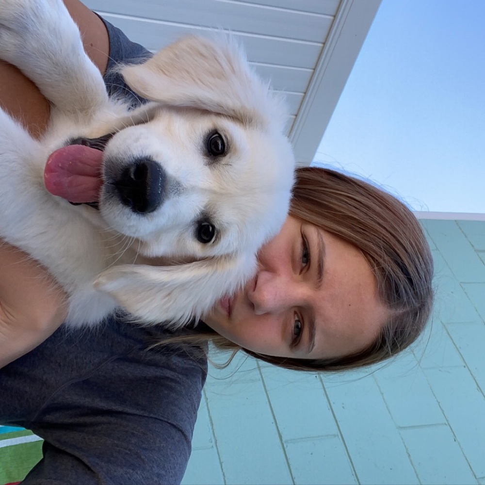 Meet your Posher, Taylor